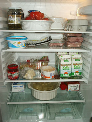 fridge_contents